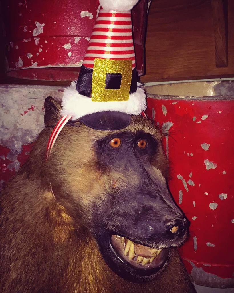 reycj's tweet photo. #happychristmas https://t.co/hMCoHdfab5 https://t.co/MfZuhRKhuk