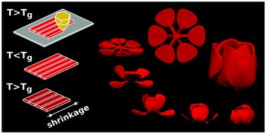 sputnik_lab's tweet photo. #Origami , #Impresion3D y #Medicina ,unidos por @tudelft para mejorar los #implantes óseos vía @Imprimalia3D https://t.co/aO13qlpV3N https://t.co/BTvhETfJqa