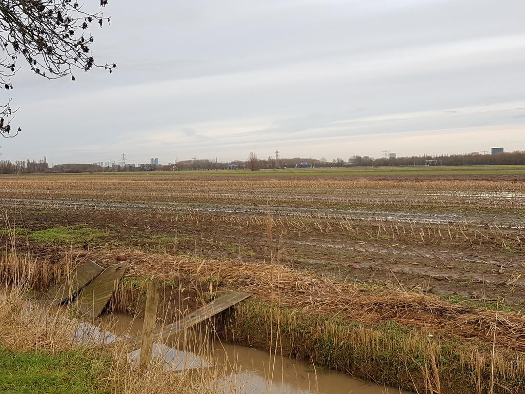 jokevolders's tweet photo. Polder Rijnenburg #toekomst #duurzame energie #wie gaat het zeggen. https://t.co/XgUNMkhSia