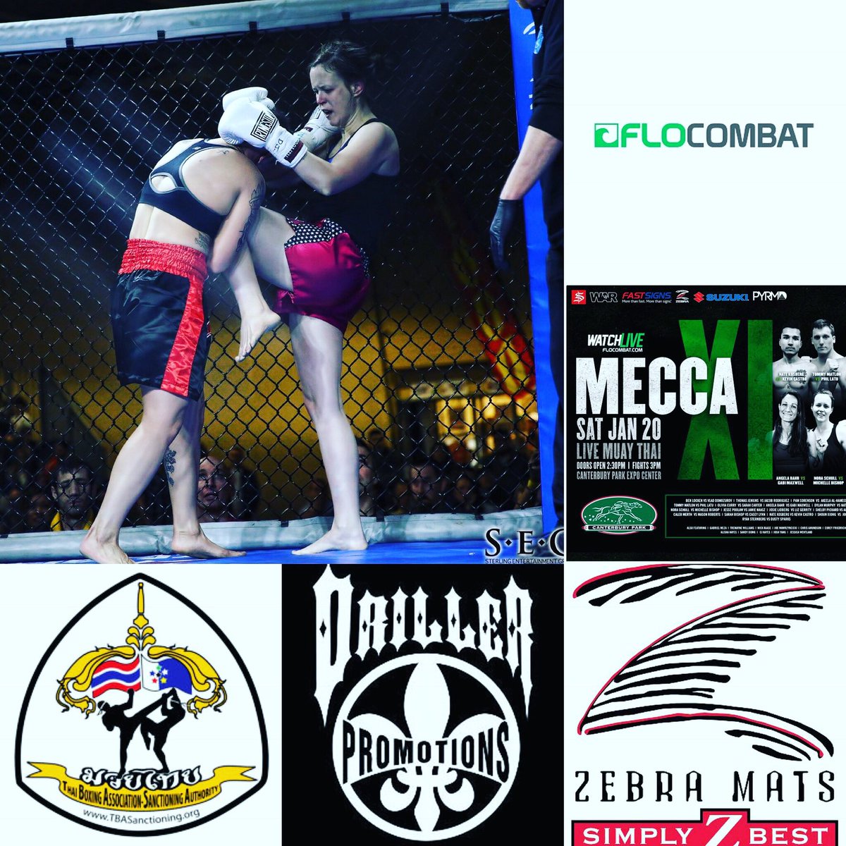 norathedestroya tweet media