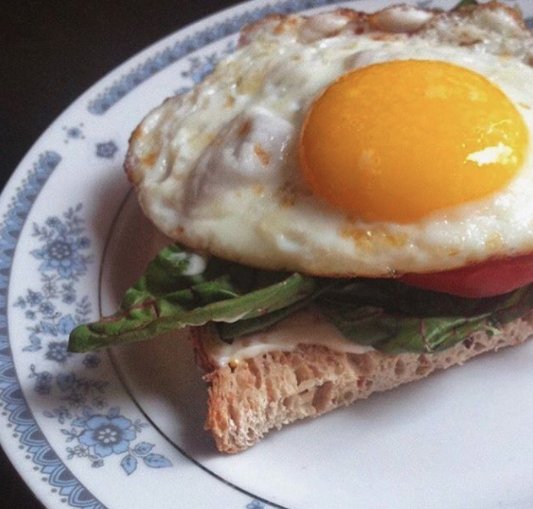 Rowe Farms Uptown tweet media