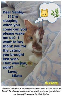 SAHKCatSitter's tweet photo. #KittyLetterstoSantaClaws https://t.co/Hn2F1aWAXe