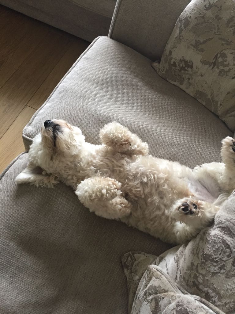 xxPrincessAlixx's tweet photo. When you get sent a photo like this all you want is for work to be over and curl up with him  #getmehome https://t.co/5uhhihpH5L