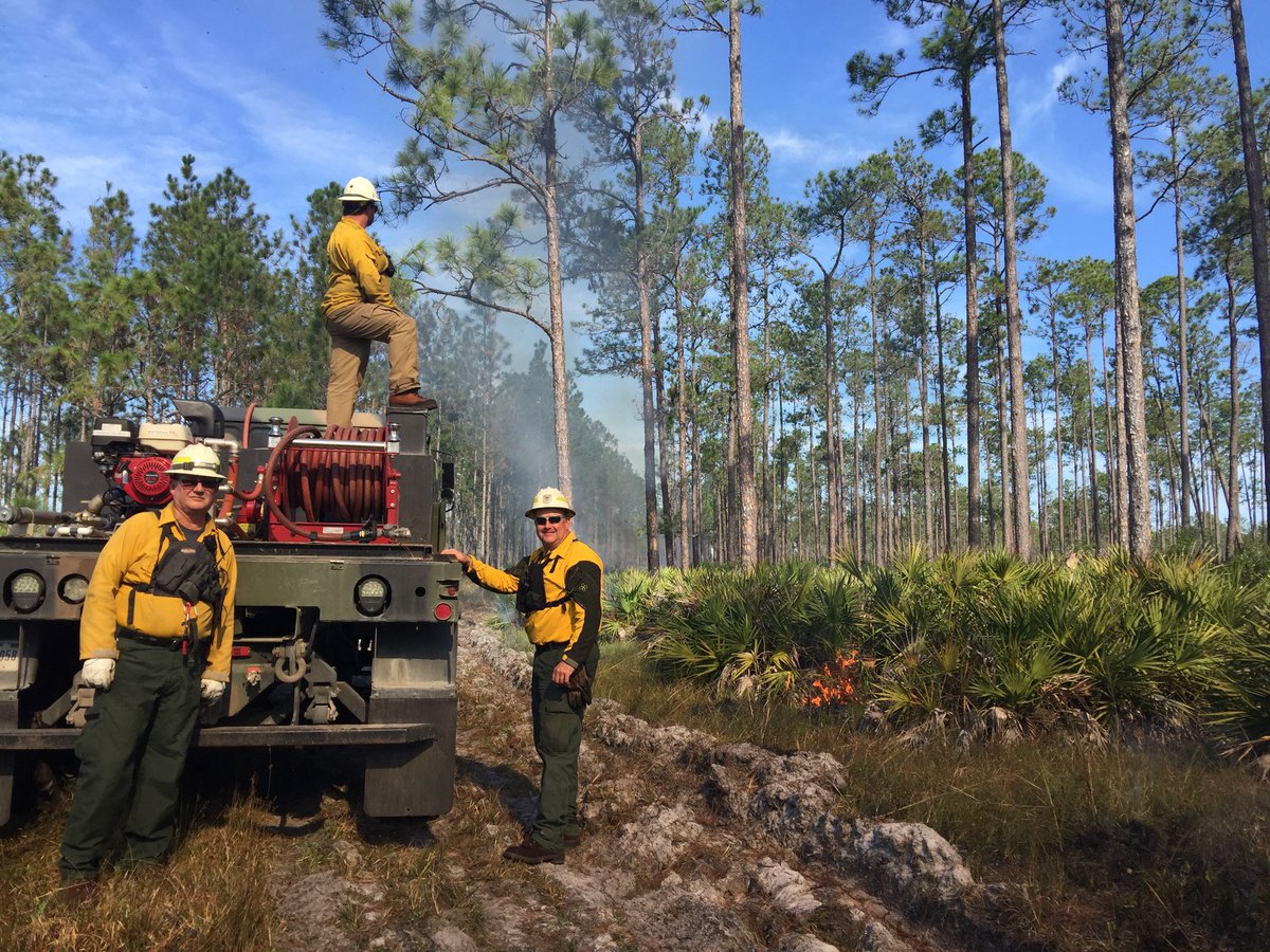 Smoke is in the air this weekend at the Range. Crews are burning approximately 225 acres this weekend. #GoodFires <a href="/FFS_Okeechobee/">FFS Okeechobee</a> @USFWSFireSE