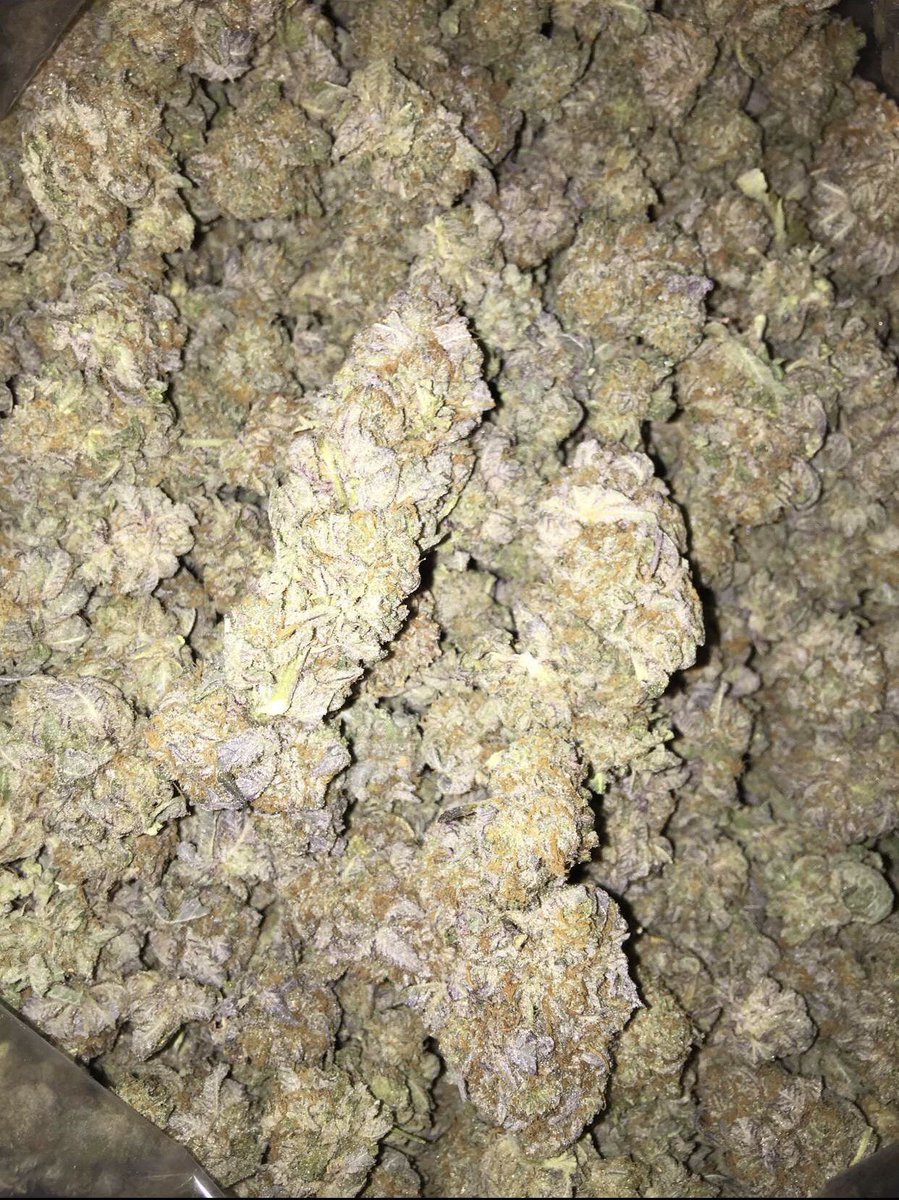 SmokePlug tweet picture