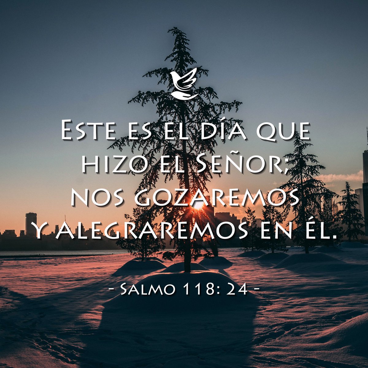 miiglesiausa's tweet photo. Este es el día que hizo el Señor; nos gozaremos y alegraremos en Él... Salmo 118:24
#amor #love #gozarnos #alegrarnos #miiglesia https://t.co/fp9D95vb9P