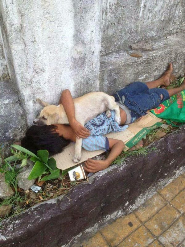 ASOGUAU's tweet photo. A tu perro no le importa si eres rico o pobre, si come el mejor alimento o las sobras... Siempre que lo cuides, estará feliz a tu lado!! https://t.co/cpHqeLl5uN