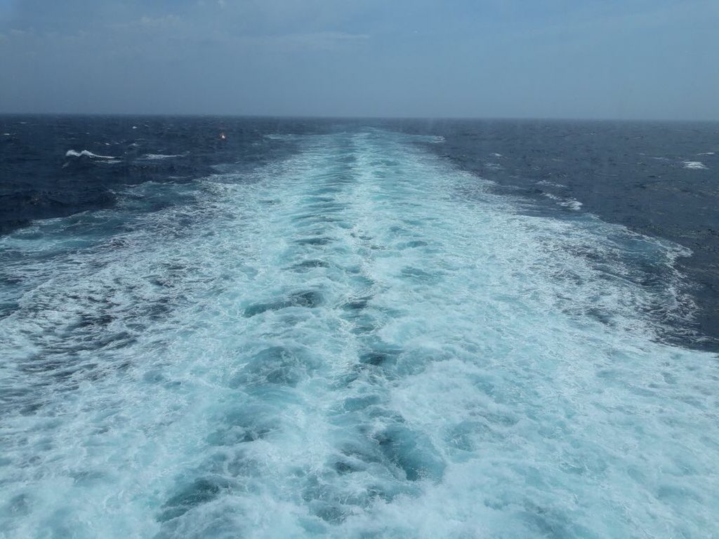 FederiicoSosa's tweet photo. Madre envía sus saludos todas las mañas desde el crucero. Yo le envío una mía en el monoambiente.
MÍNIMO MEDIO FREE SHOP ME TRAES NO? https://t.co/SE0FzRD4ev