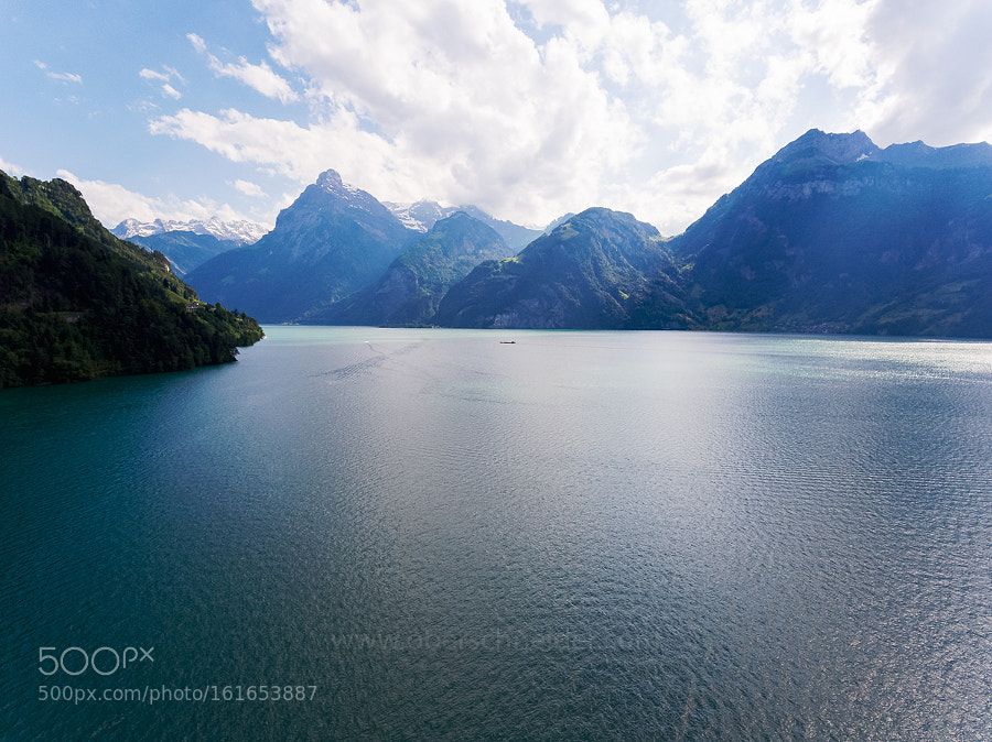 Zurich Photographers tweet media