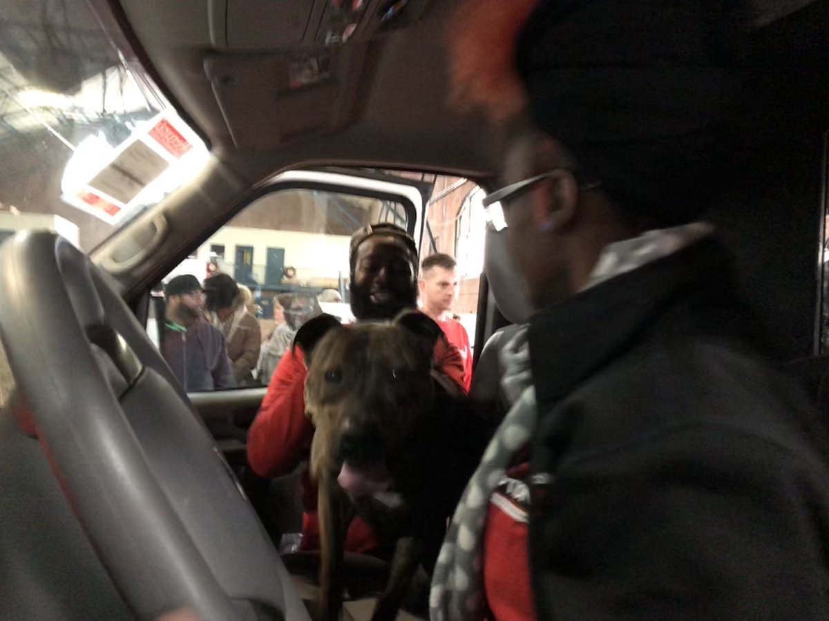 BrandywineSPCA's tweet photo. This dude had the best seat on the bus! Fun morning watching new dogs come to Mega from other shelters so we can save as many lives as possible. Many thanks here to our friends at @sthubertsanimal! https://t.co/x1GiTRQK27 #tristatemega https://t.co/3wg7xqL651
