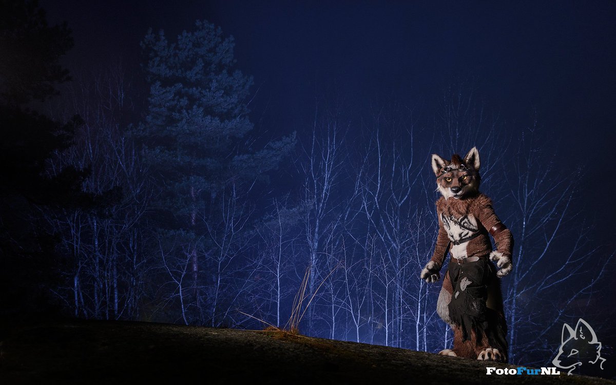 randonwolfy's tweet photo. Up next in my series of #FourFavorites from different photographers, here's @FotoFurNL with a photoshoot at #NFC2016! https://t.co/nY6MWQMr10