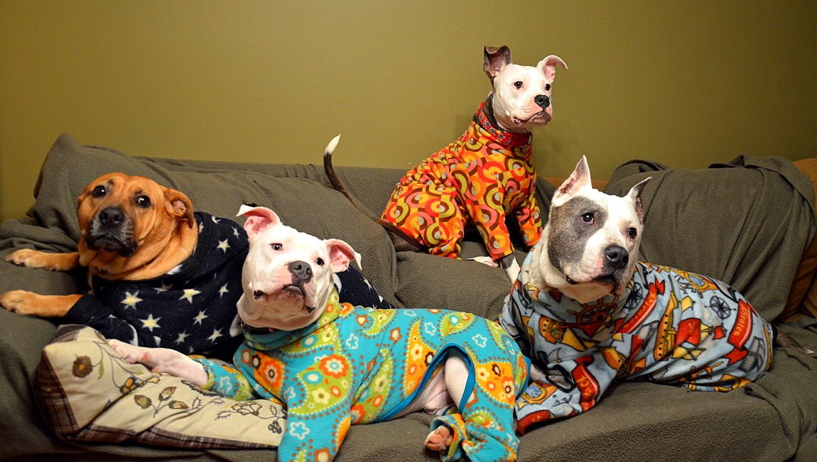 OJR2018's tweet photo. Tomorrow is PAJAMA DAY! https://t.co/70oQRr0kyM