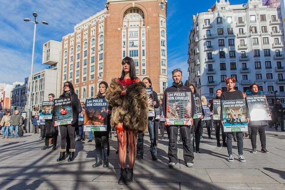 IZQmx's tweet photo. #Activistas toman plaza de #Madrid para pedir fin al uso de pieles #animales.
Nota: https://t.co/J7EHzXKN1E
#UsaMiPelo https://t.co/h6Z0j5VEW8