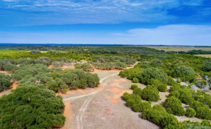 duPerierTLM's tweet photo. #SpotlightProperty Rustler's Den Ranch:
More pics here: https://t.co/qkz1aBOUGp
➡️ 363 acres in Burnet, TX
➡️ Dense and game-filled tree cover
➡️ 4 miles of new Jeep roads
➡️ 12 new gorgeous meadows
➡️ 3 newly reworked wildlife ponds
Call (830)755-5205 for more info! https://t.co/kJ0vLiFmUm