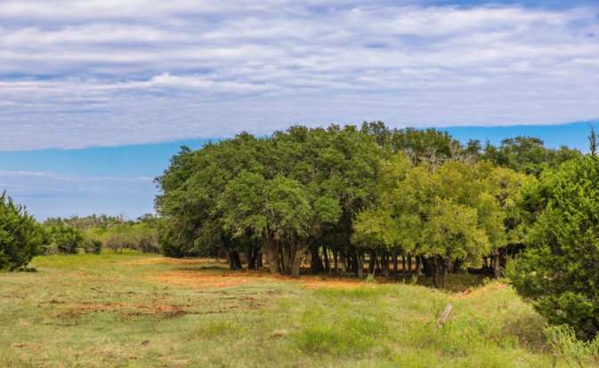 duPerierTLM's tweet photo. #SpotlightProperty Rustler's Den Ranch:
More pics here: https://t.co/qkz1aBOUGp
➡️ 363 acres in Burnet, TX
➡️ Dense and game-filled tree cover
➡️ 4 miles of new Jeep roads
➡️ 12 new gorgeous meadows
➡️ 3 newly reworked wildlife ponds
Call (830)755-5205 for more info! https://t.co/kJ0vLiFmUm