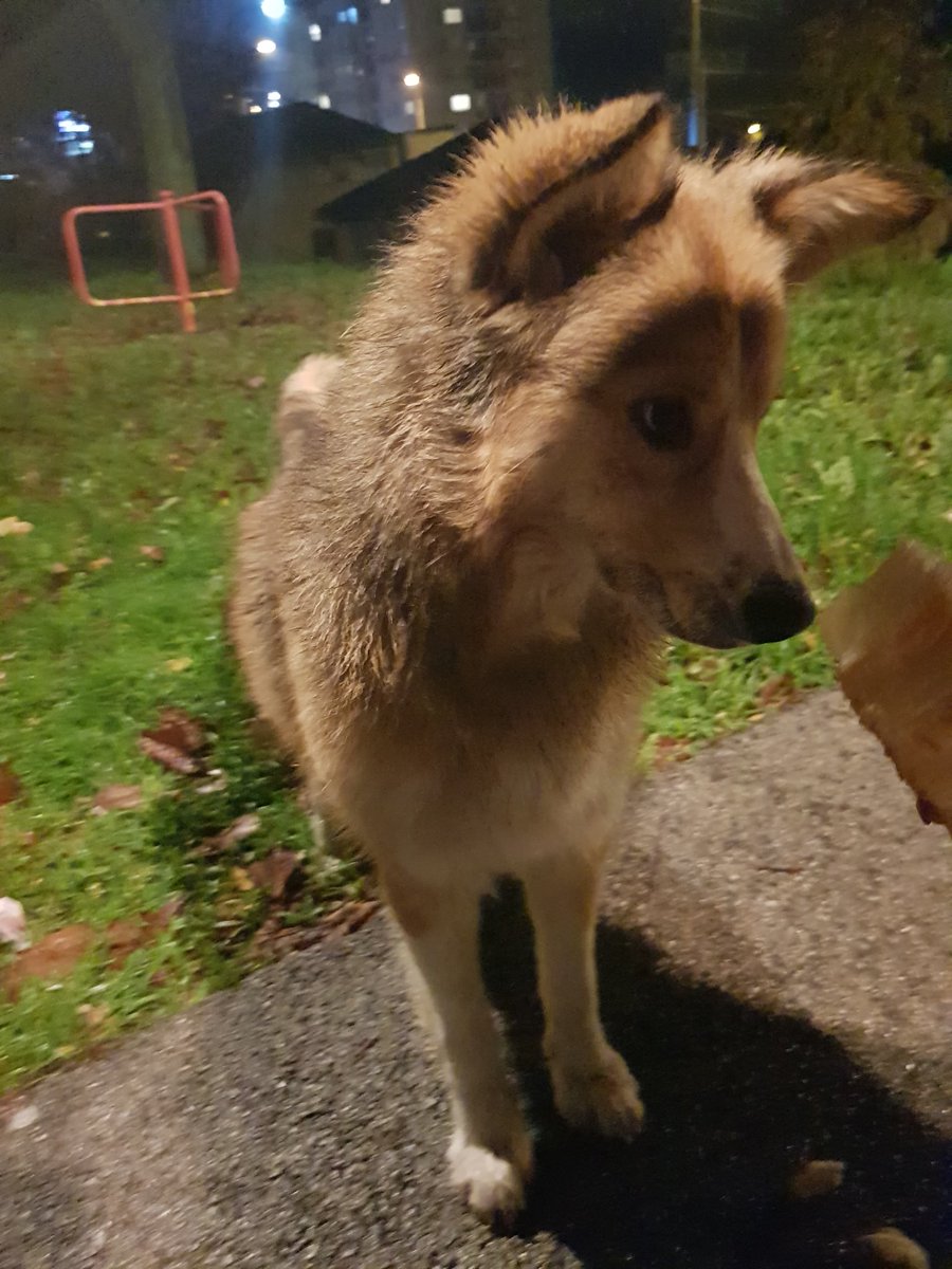 jel i vi imate drugaricu ispred zgrade, vidjate se svakodnevno, malo trcite, nesto pojedete, pa se rastanete do sutra? nemam ni ja