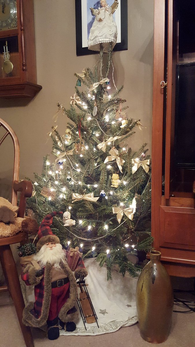 asiegelgreen's tweet photo. It's looking a lot like Christmas! #lovedecorating #lotsoftrees #howmanydoyouhave #obsession https://t.co/5ij4gxWpfV