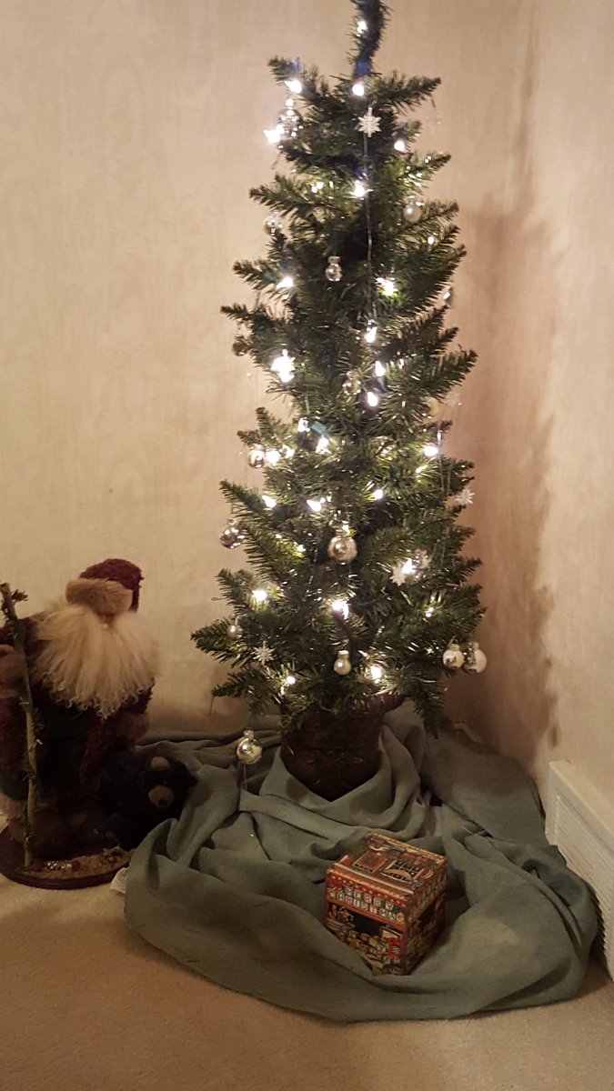 asiegelgreen's tweet photo. It's looking a lot like Christmas! #lovedecorating #lotsoftrees #howmanydoyouhave #obsession https://t.co/5ij4gxWpfV