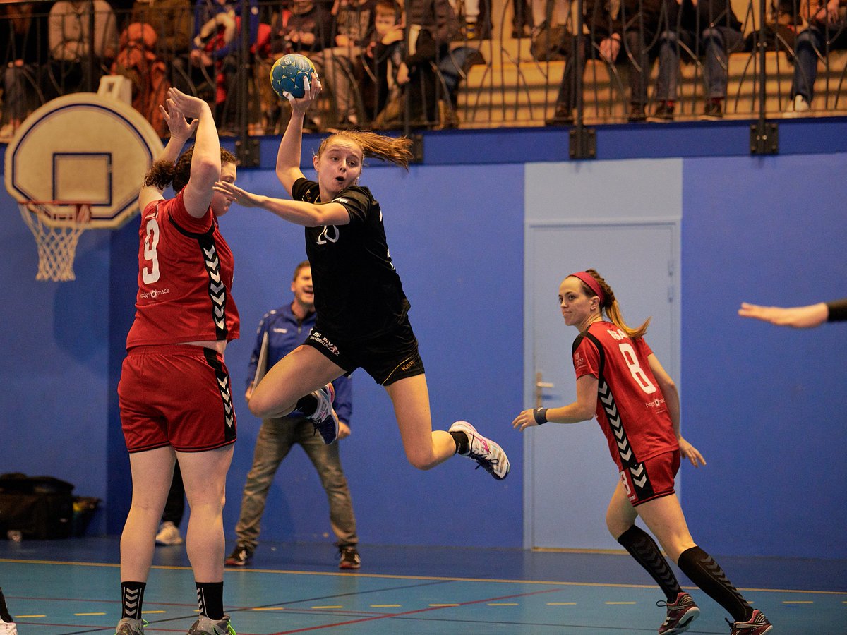 Belgianhandball tweet picture