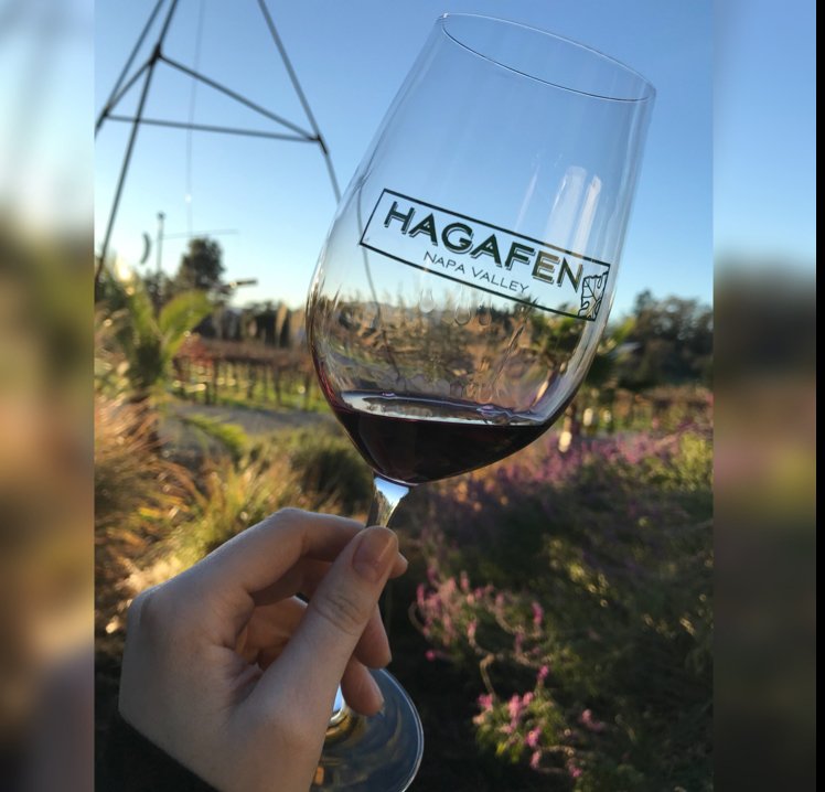 Raise a glass to another beautiful weekend here in Napa Valley🍷 Stop by our tasting room today and let us put some wine in your glass. Cheers!
.
📷: #hagafencellars #hagafen #silveradotrail #winery #wine #vino #napavalley #napa #tournapa #visitnapa #napastrong #visitcalifornia