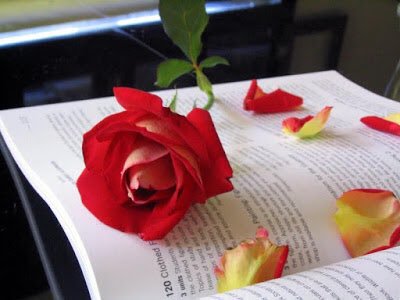 AdefaMohammed's tweet photo. @SDasalgi  https://t.co/zFEmNdqP6b
