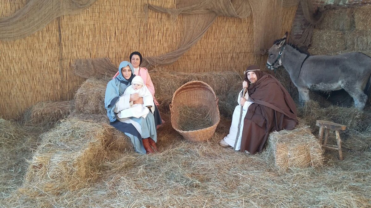 Terre di Presepi tweet media