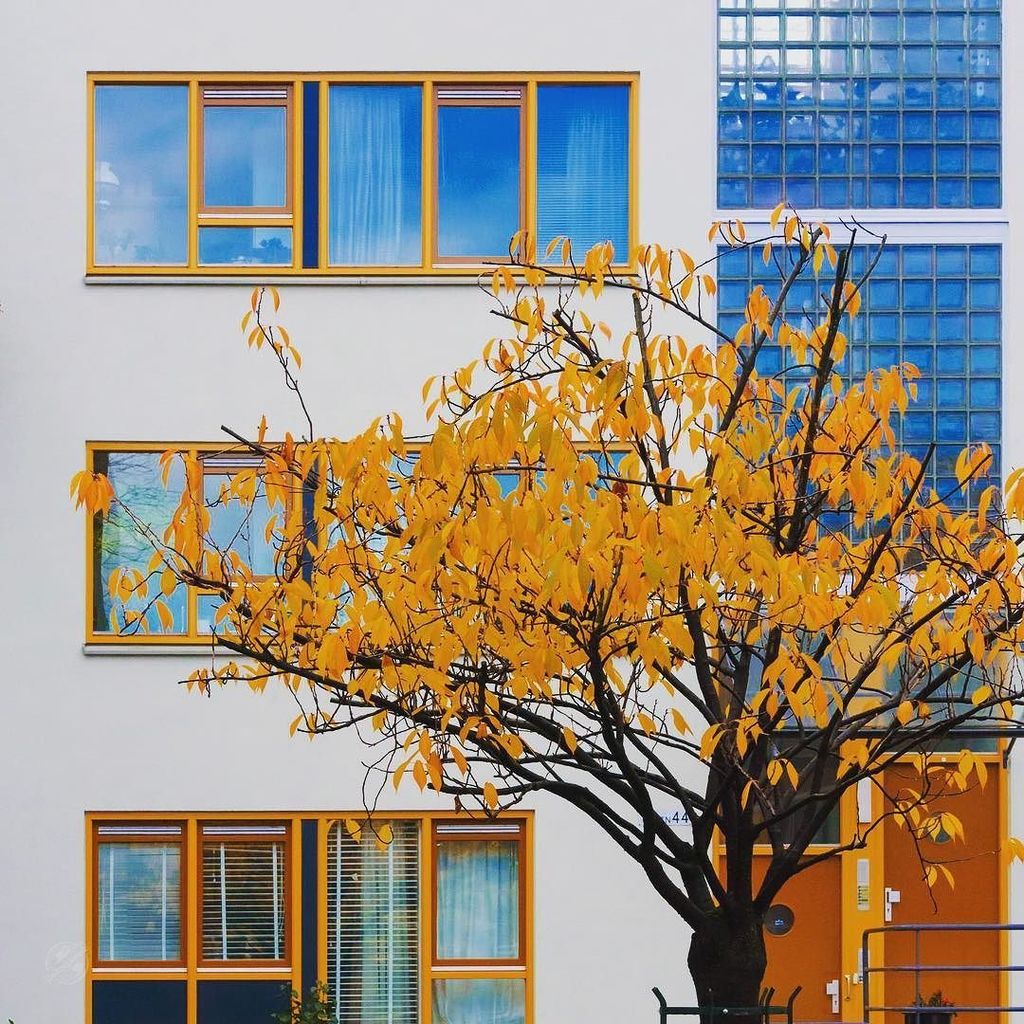 craigminielly's tweet photo. I enjoy walking myself "lost", to discover places and images I would normally miss... Along a sidestreet of #amsterdamcanals, I found this intriguing act of colour coordination. ⠀
⠀
Which do you think came first? ⠀
⠀⠀
#NikonAmbassador #DiscoverAm… https://t.co/nbtK1z5QeI https://t.co/LZlkLGmrUm