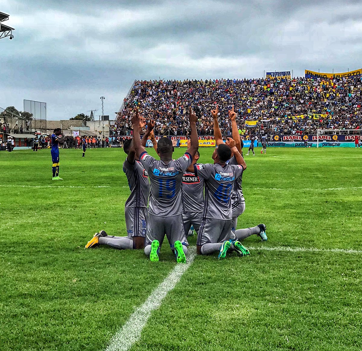 CSEmelec's tweet photo. ¡Así celebró el #Bombillo el GOLAZO de Angulo! #VamosEmelec #QueremosLaCopa ⚡️⚽️ https://t.co/51yMD0a4kZ