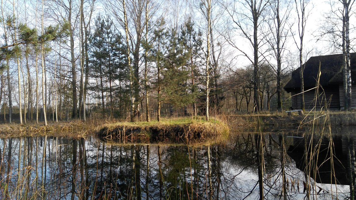zubachi's tweet photo. Зима - осень - весна!? #zubachi #agrousadby https://t.co/1sSzFfViUO