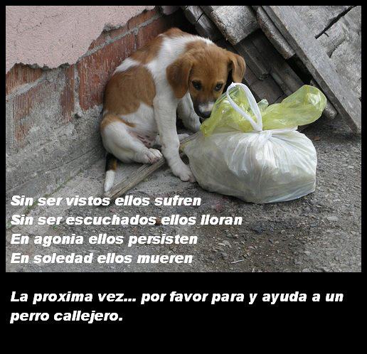 Venezuelienne09 tweet picture