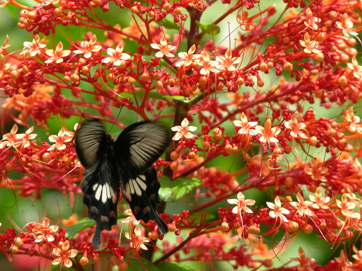 Asia Answers tweet media