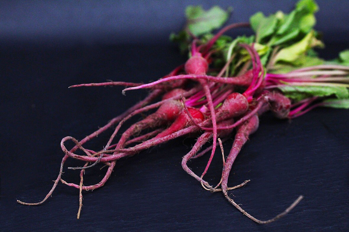 NurturedInNflk's tweet photo. Itβs party season so turn up the βBeetβπΊπ»
Micro Candy Beetroot, sweet and earthy!
Call - 01362 697 181 to order.
#candybeetroot #micro #red #healthyeating #chefstalk #chefsofinstagram #chefs #recipe #cooking https://t.co/ftMfCS1kN9