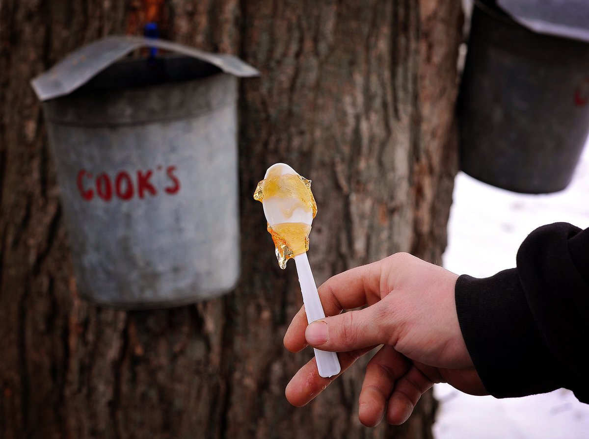 cooksmaple's tweet photo. . #NationalMapleSyrupDay yes it's a thing, and we know why ❤️🍁 https://t.co/R5egATLlYK