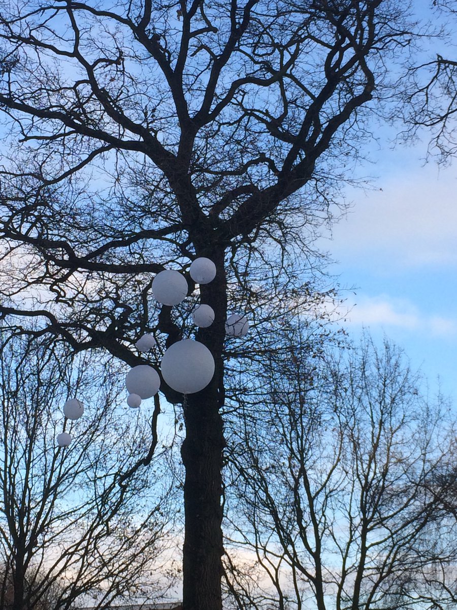 Prachtig tafereel op onze trainingslocatie in Hoogland.