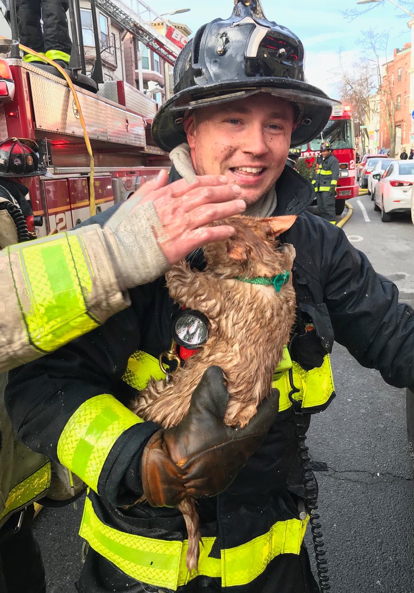 Found in the building was this cat here with FF David McSweeney of Engine 7. Cat was placed in a Chiefs car and the heat turned up. To be reunited with its owner. Nice job!