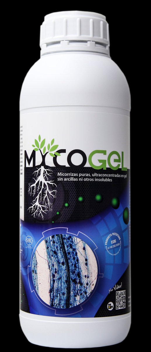 pedrocalvorolda's tweet photo. Mycogel es el único inoculante micorrícico, #estéril, en gel y producido in vitro en #laboratorio que coloniza las #raíces ayudándolas a ser más resistentes a las sequías y a situaciones climatológicas adversas. #organico #biotecnologia #sostenibilidad #micorrizas #mycorrhizae https://t.co/dCv76iYHy4