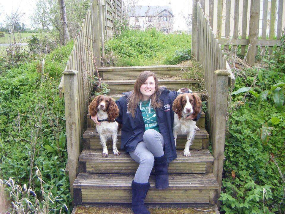 rosiedoc666's tweet photo. #missing #DukeandDaisy 2 #ESS #STOLEN owners #neverforget heartbreaking 💔 #Faughart area #Dundalk #CoLouth sat 2/2/13
Prob separated, both brown&amp;white DUKE has white line down👃🏻 DAISY has a mostly brown face with a narrow white line tween 👀 

Do u have either? Maybe? https://t.co/hfQLbqdTez