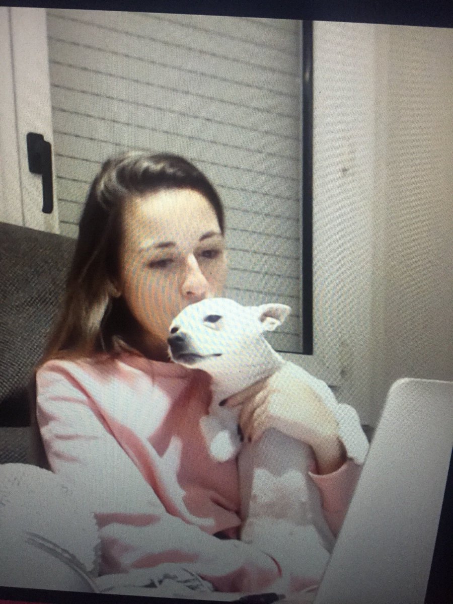 LauritaR92's tweet photo. @paulagonu aiii la #cocoguapi #paulagonu24auels 😍😍😍😍😍😍 como se qiereeen @paulagonu @AlexChiner https://t.co/BwlIJLikf0