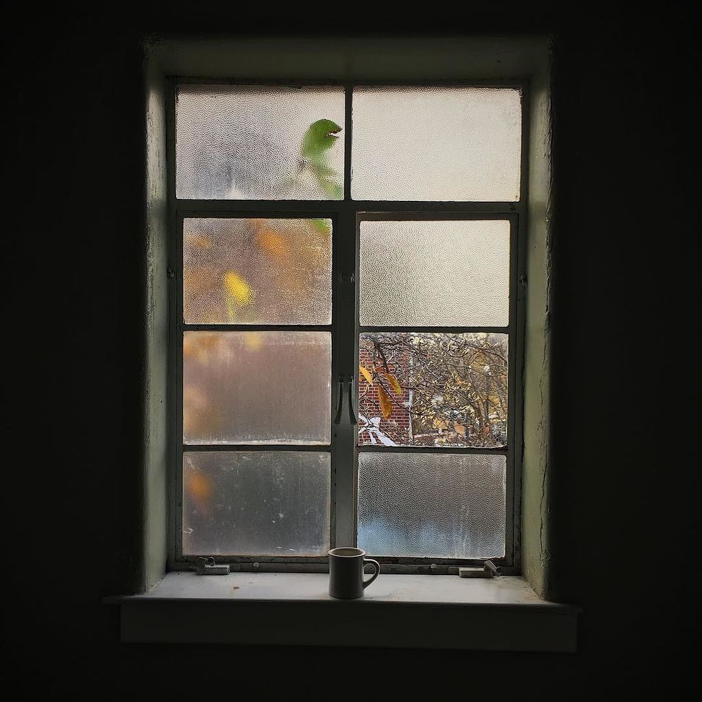 PrevailUnion's tweet image. CLOSED TODAY for post-finals recovery. See y’all Monday morning, 8am. ift.tt/2zjFmDZ