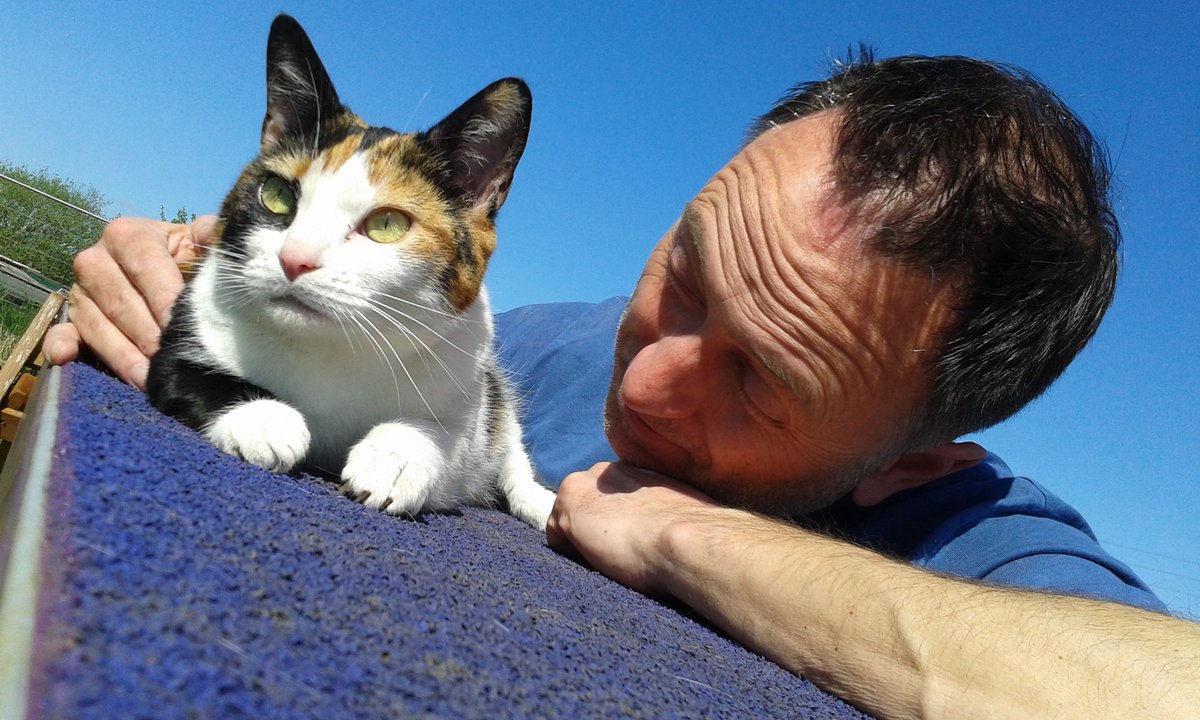 It was our last day <a href="/HappyLandings1/">Happy Landings</a> yesterday :-( So many happy memories of our years volunteering here. Not sure any other shelter will ever fill its place for us, but we'll give it a go in our new home #cornwall #movingon #rescuecat