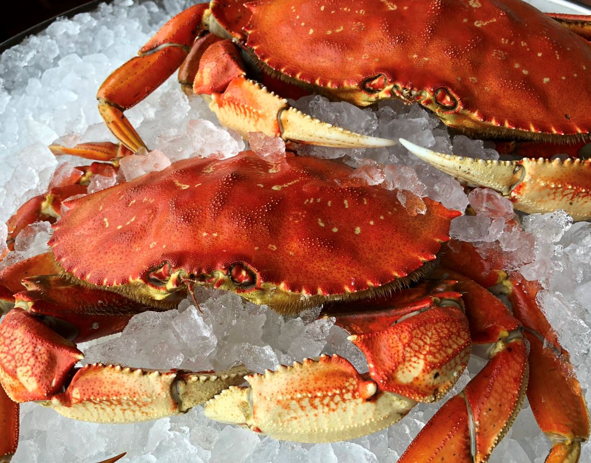 Want to be a holiday superstar? <a href="/AnthonysRestsNW/">Anthony'sRestaurants</a> just made your job easier with a crabfeed (and much, much more!) delivered to your hard-to-shop-for family's door! All the scoop on getting crabby ... in a good way: ow.ly/UIm730hfHkv #NFL