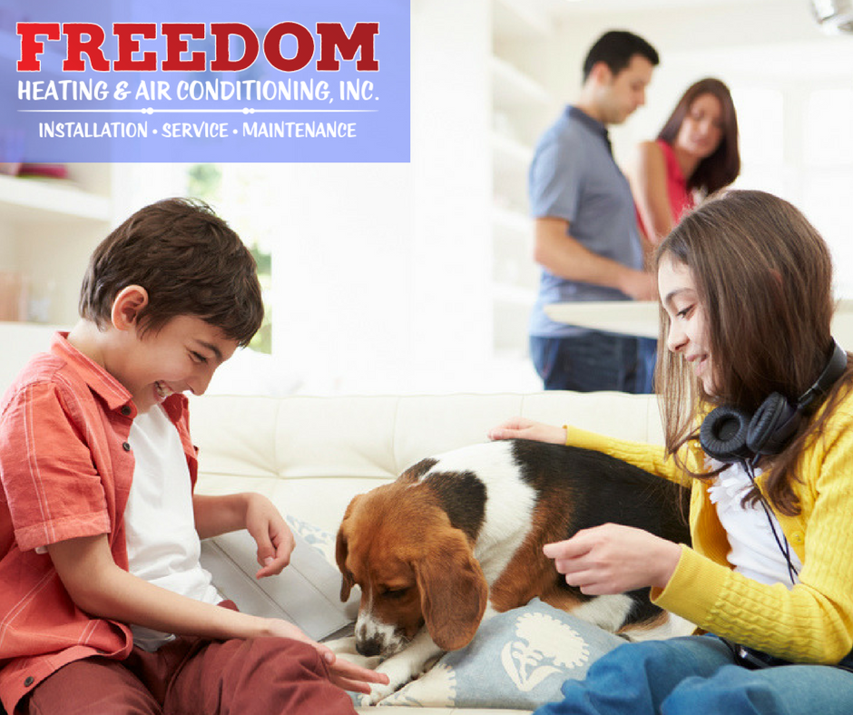 FreedomHvacMpls's tweet photo. For all your #heating needs, we have you covered. #HVAC #TwinCities https://t.co/HNd8ec2Ilh https://t.co/htQxFSxKuA