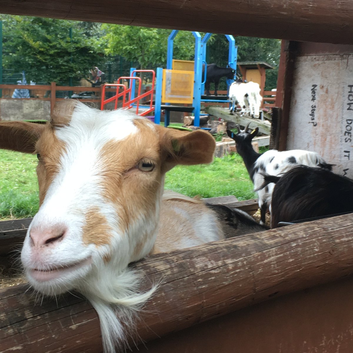 16 Cool Things You've Probably Walked Past in London including <a href="/SingingLift/">Southbank Centre Singing Lift</a> <a href="/Ediths_London/">Edith's House London</a> #chewinggumman and #spitalfieldscityfarm