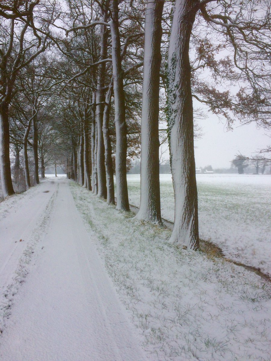 DeWeeversborch's tweet photo. aantrekkelijke #kerstvakantie #lastminute. Hoge korting om na de #kerst en #nieuwjaarsdag  even bij te komen in de #achterhoek #vakantie #huisjehuren https://t.co/6m1H7U2xNk https://t.co/Rq5b4u7LXf