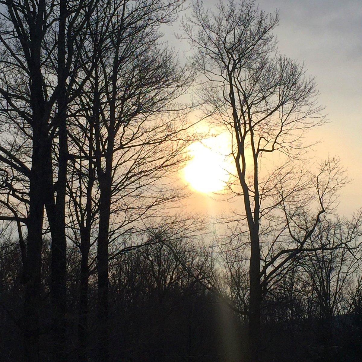 TheNiniD's tweet photo. I hope your Sunday is as peaceful as this sunset 🌅 #sunset #sunset_hub #sunsetsofig #nature #naturephotography #cloudporn #happysunday #sundayvibes https://t.co/UlINOAFVZp