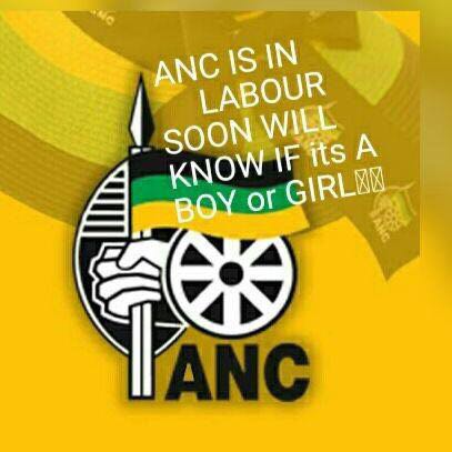 #ANC54