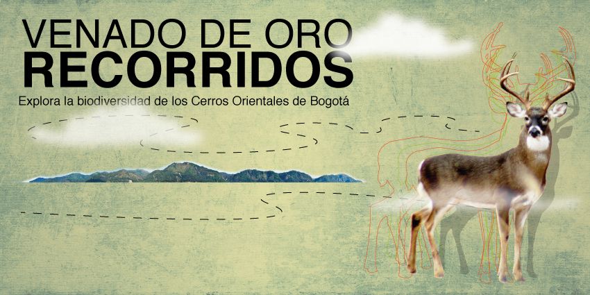 inst_humboldt's tweet photo. Que uno tus propositos para el 2018 sea encontrar tu #ConexiónVital con nuestra biodiversidad.
->https://t.co/GJdYufegpi https://t.co/Fj1hhBJIFw
