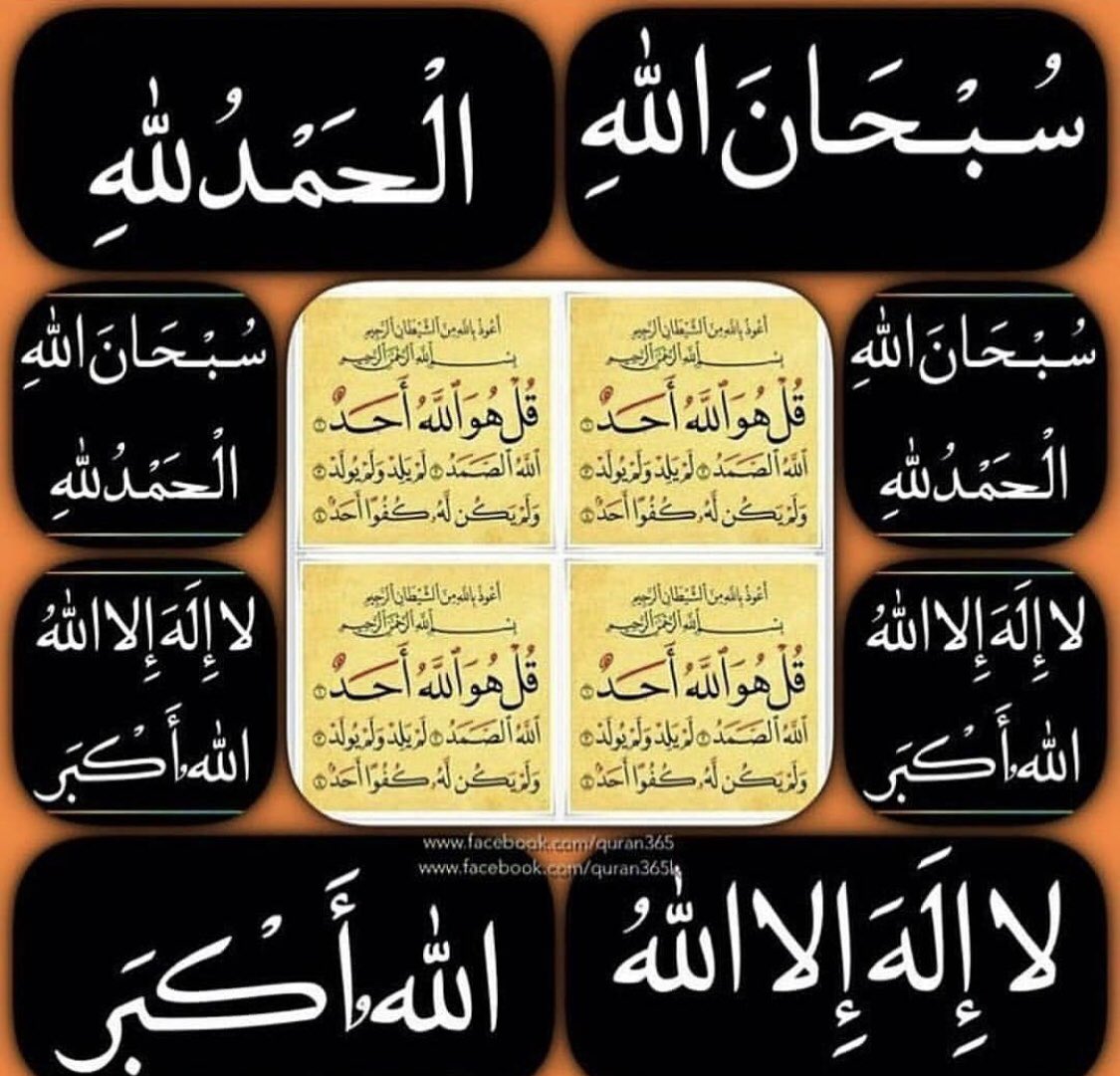 #قروب_ليال_للدعم 
#حمامة_السلام_للدعم