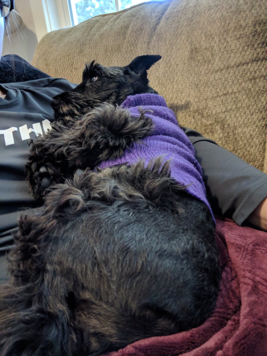 thebearded_lady's tweet photo. Mom has the flu so I prescribed lots of cuddles #Drmagic #trustmeiamaexpert #cuddlesalldaytogetbetter #cuddlemedicine #stopcoughingyouaredisturbingmucuddles https://t.co/IM4rABRF6e