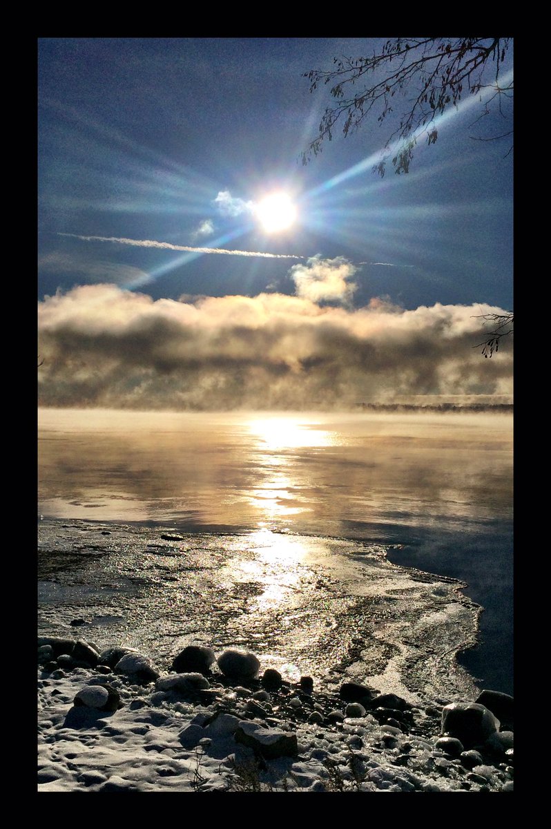 Steph Mizgala tweet media